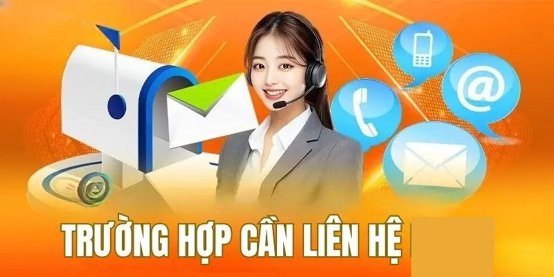 Liên hệ Tip88 là giải pháp tốt nhất