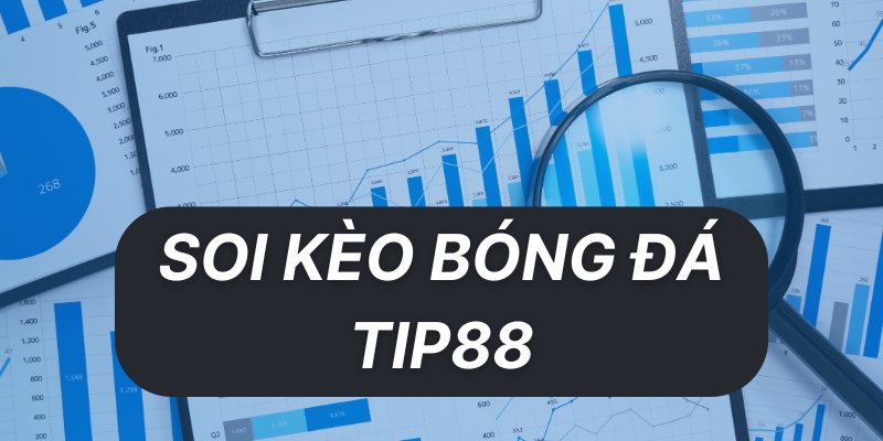 Thống Kê Bóng Đá Tip88 - Kho Dữ Liệu Chuẩn Xác Nhất